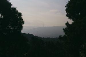Tbilisi / 2025
