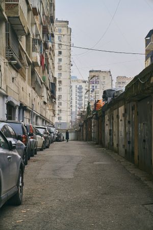Tbilisi / 2026