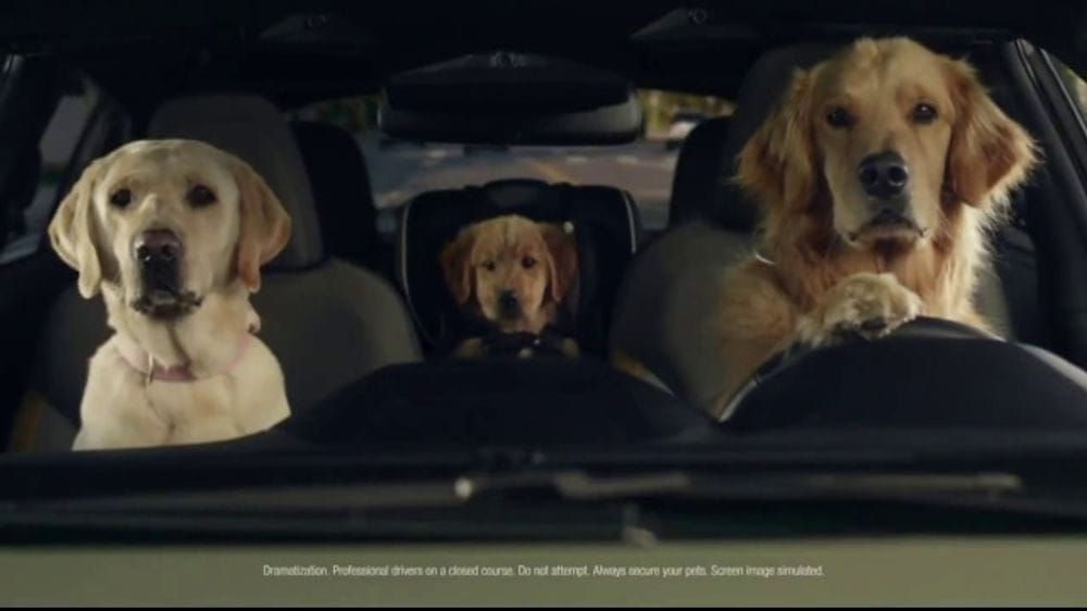 Subaru Ad With Dog Family Fetches 54% Positive Purchase Intent