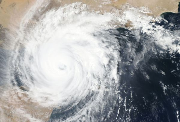Coverage of Hurricane Idalia Boosts Weather Channel Into Network Ranking