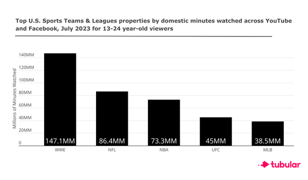 WWE Content Is A Summer Slam With Younger Audiences