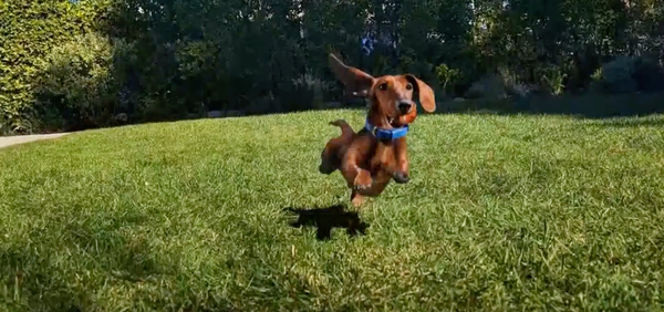 NBA Playoffs A Slam Dunk For Google Pixel Ad Reach