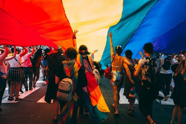 LGBTQ+ Streaming Audience Insights