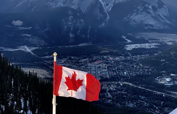 Mark Carney Leads Engagement Race for Canadian Prime Minister