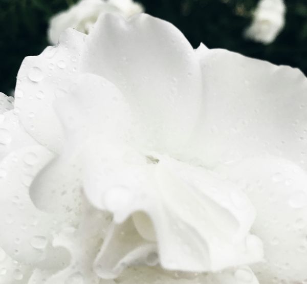 What Are Bleacher Report Viewers Shopping For?