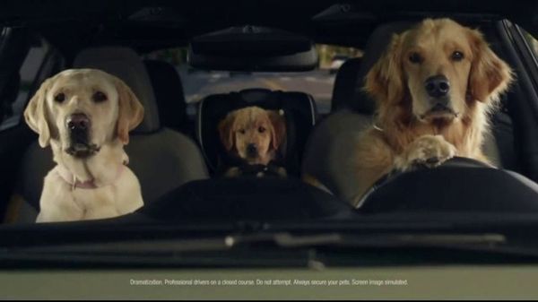 Subaru Ad With Dog Family Fetches 54% Positive Purchase Intent