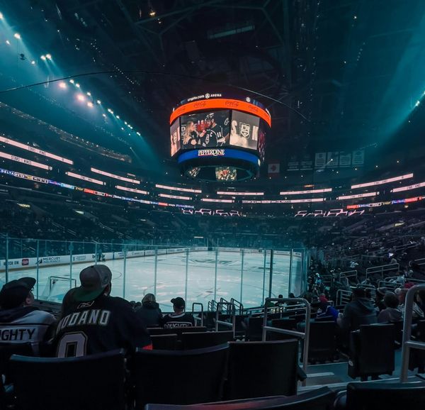 GEICO Leads Stanley Cup Playoff TV Ad Reach