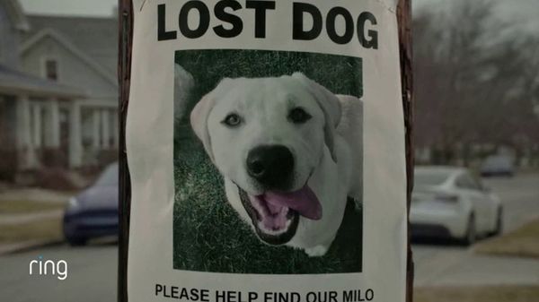 Super Bowl LX Ads Get Serious