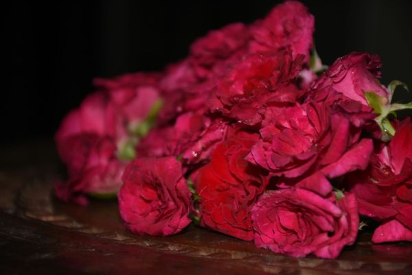 Controversy Cuts Short ‘The Bachelorette’ — and its $30M Ad Opportunity