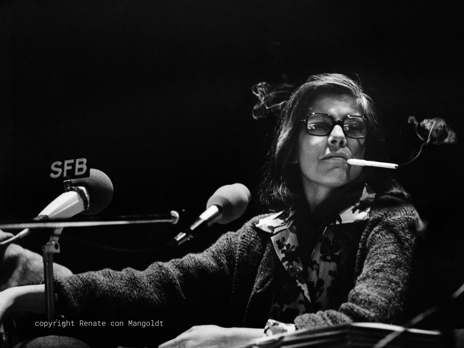 Susan Sontag - Sehen und gesehen werden