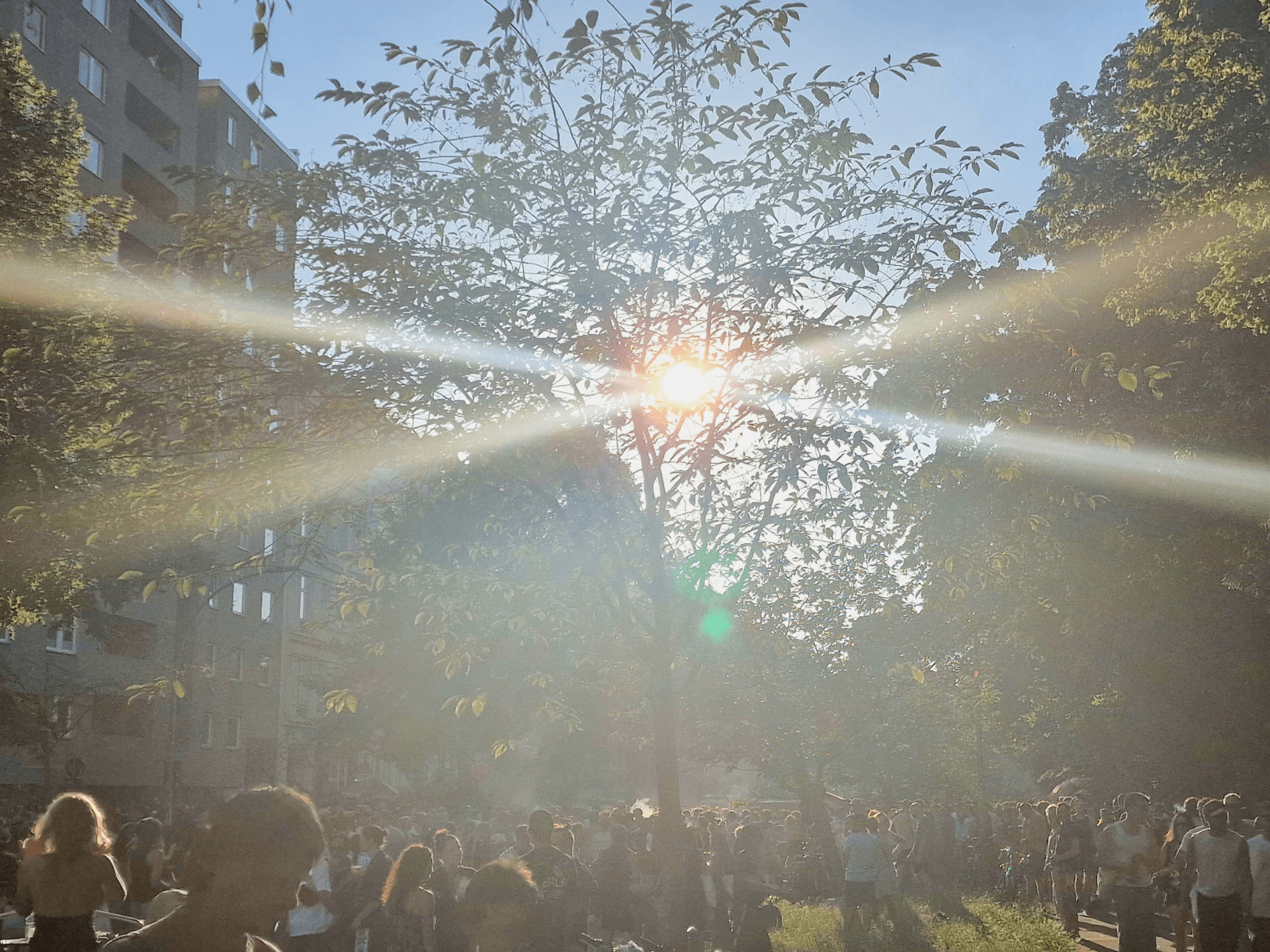 Berlin Election Day 2026. The Kinkiest Day of the Year