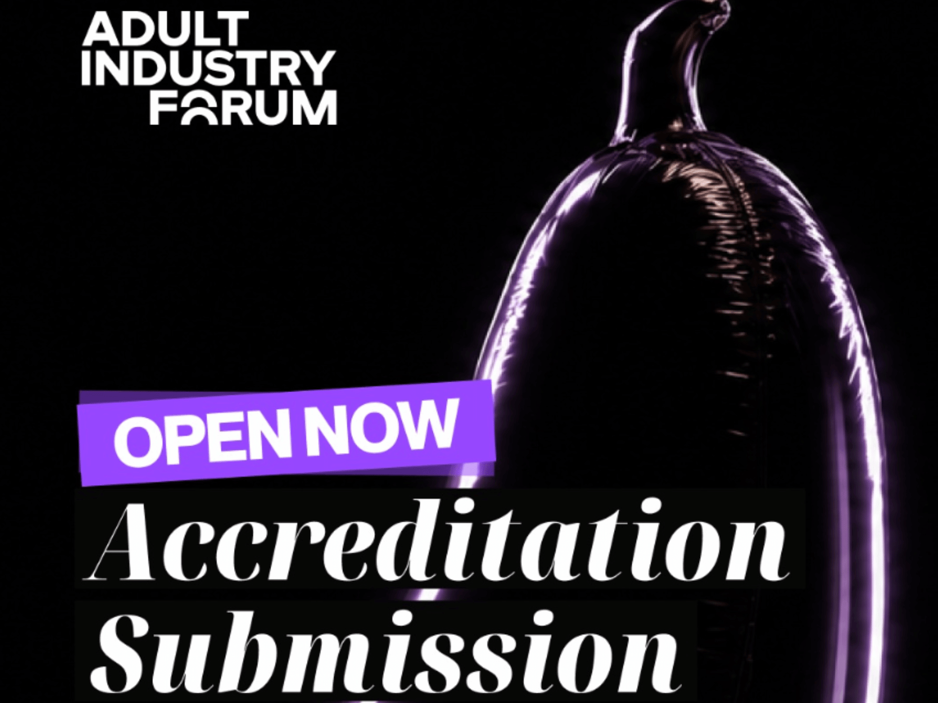 Adult Industry Forum Networking Event copyright Porn Film Festival