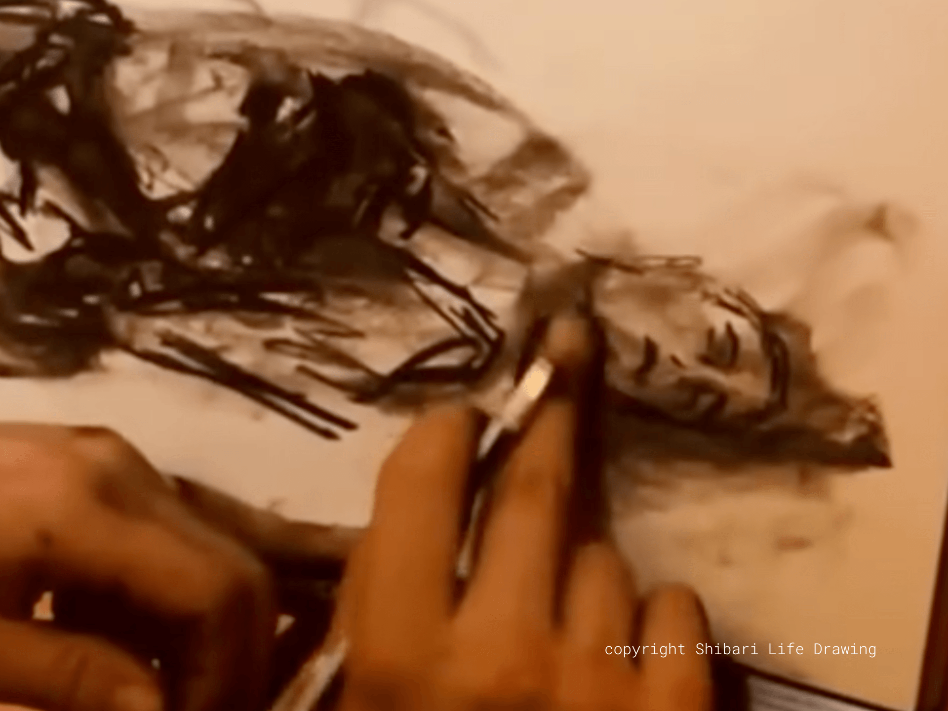 Shibari Life Drawing copyright Shibari Life Drawing