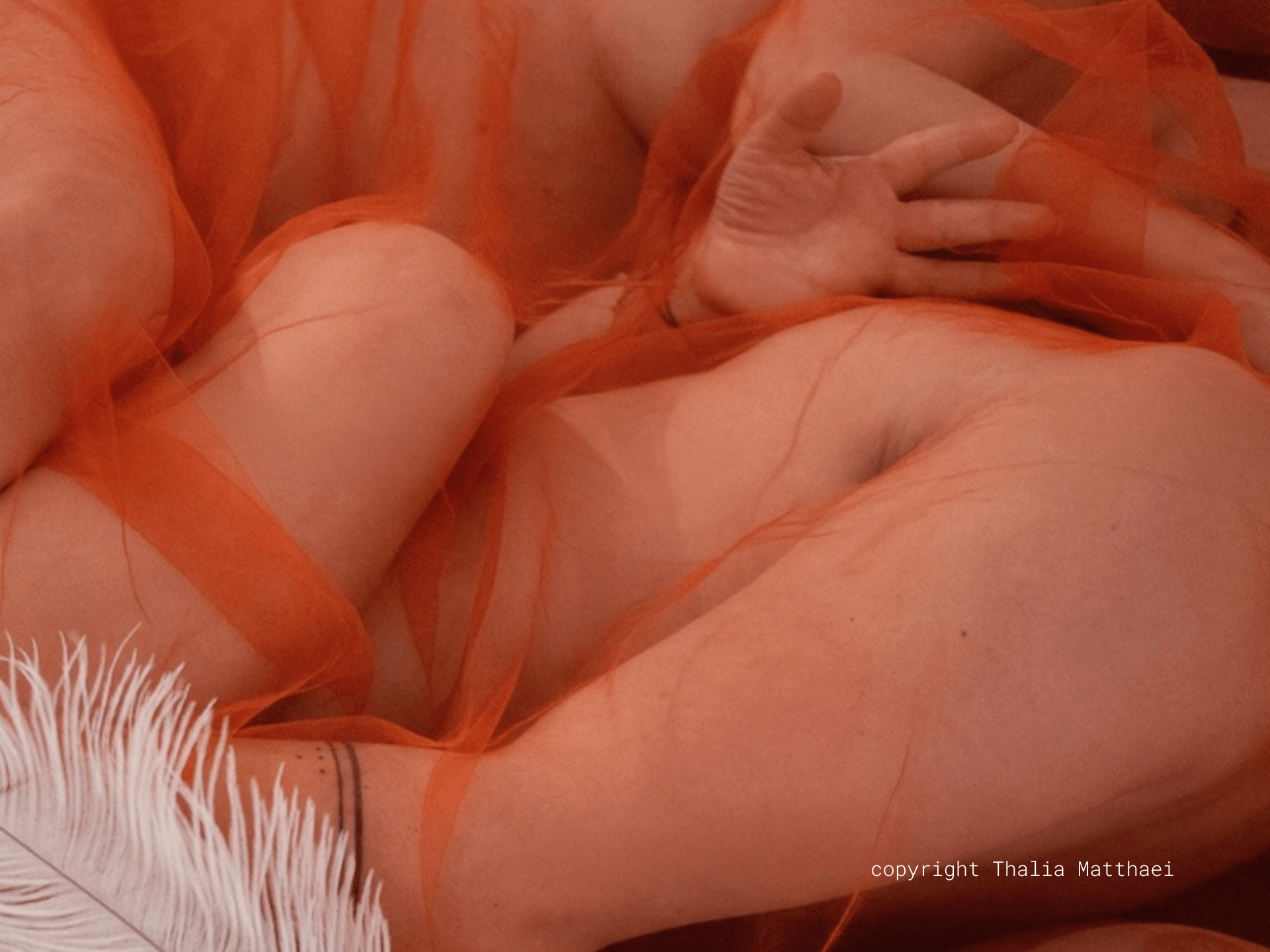 Quality Touch Temple copyright Thalia Matthaei NEW
