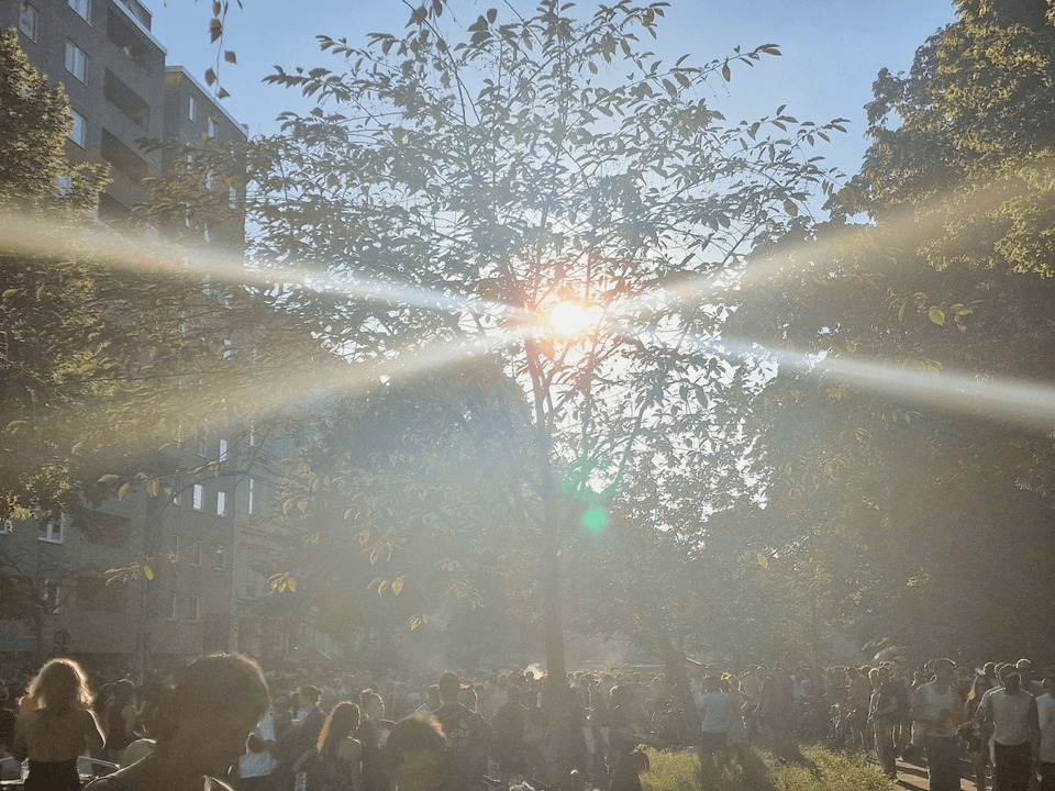 Berlin Election Day 2026. The Kinkiest Day of the Year