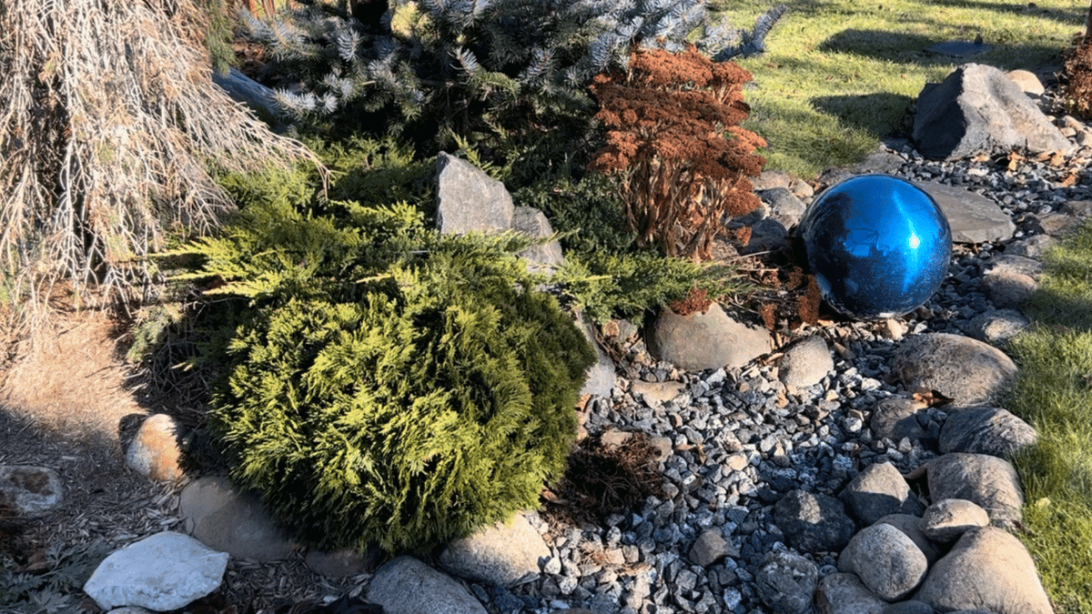 25%OFF☆マトリョーシカ『Little Gardeners』エレナ The Seven Dwarfs: Compact Conifers For Tight Spaces
