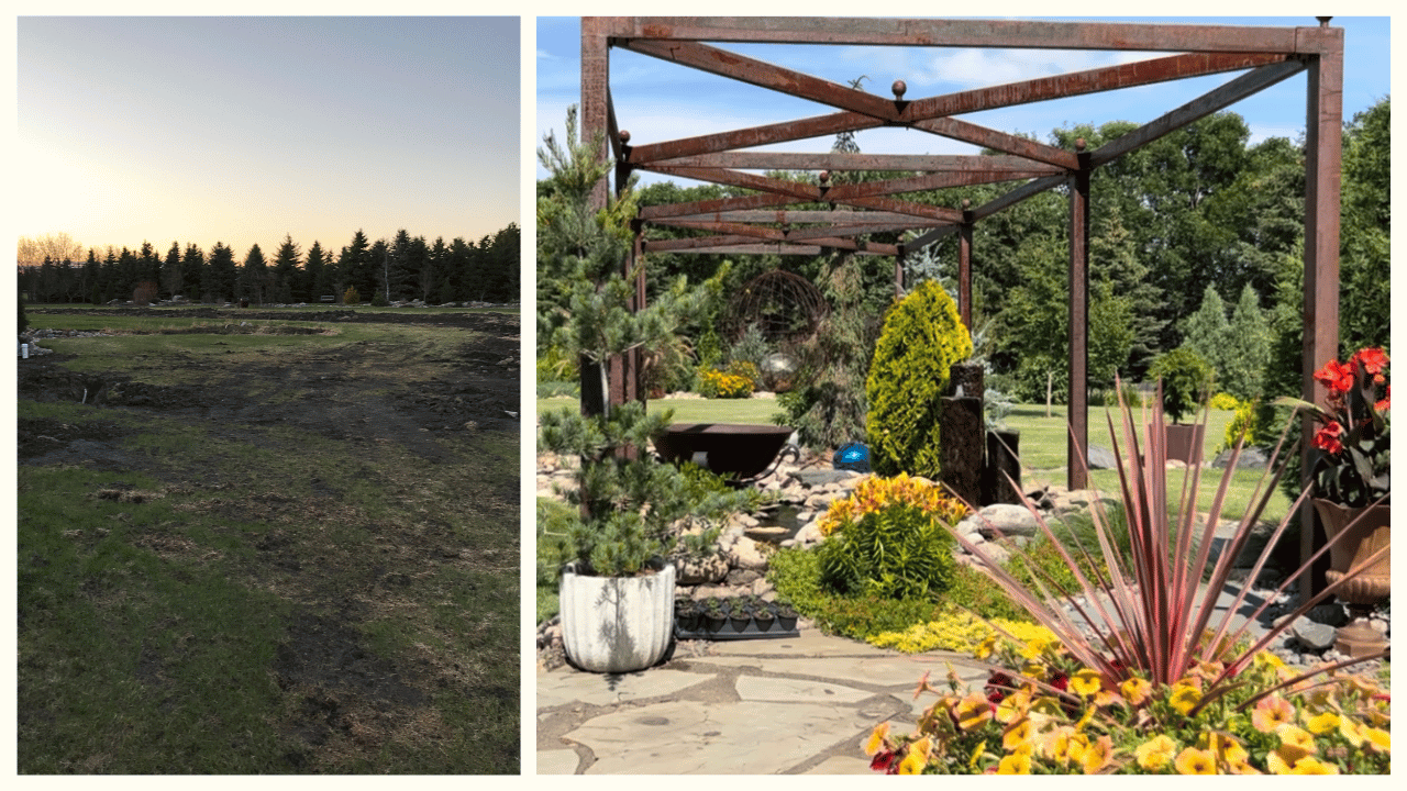 Before and After Landscape Transformation