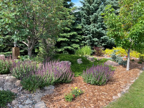 A Pollinator Garden (By Accident?)