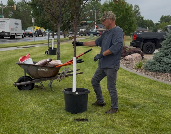 Tree Planting | My Process
