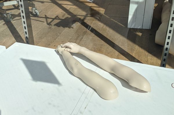 Article - Bleak Friday: capitalism's drive to consume