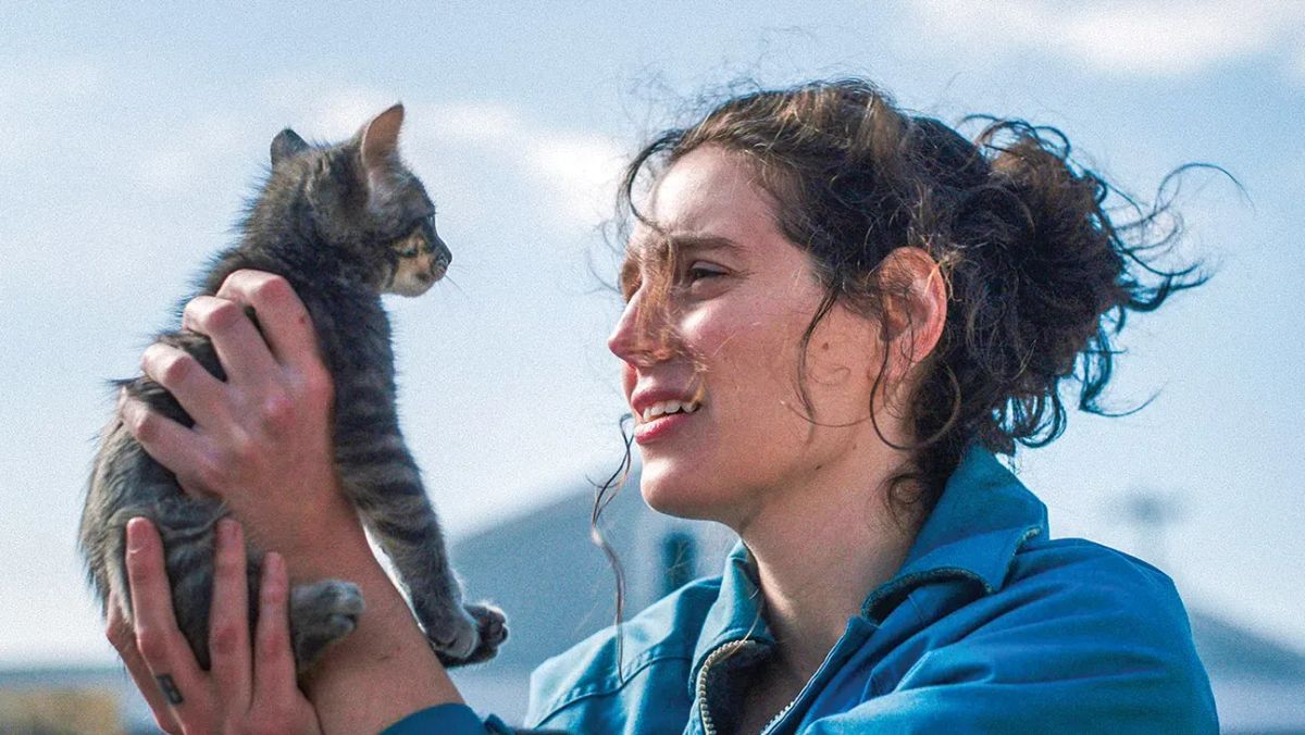 Best Bets for Boston's Best Film Festival