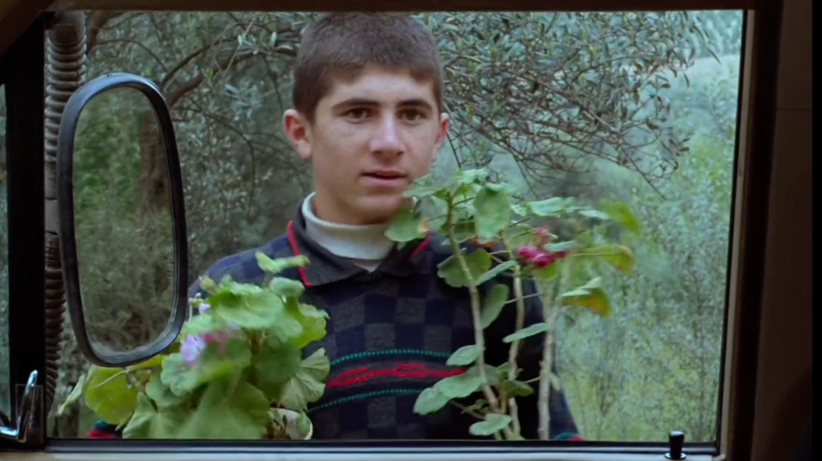 What to Watch: The Koker Trilogy, "Send Help"