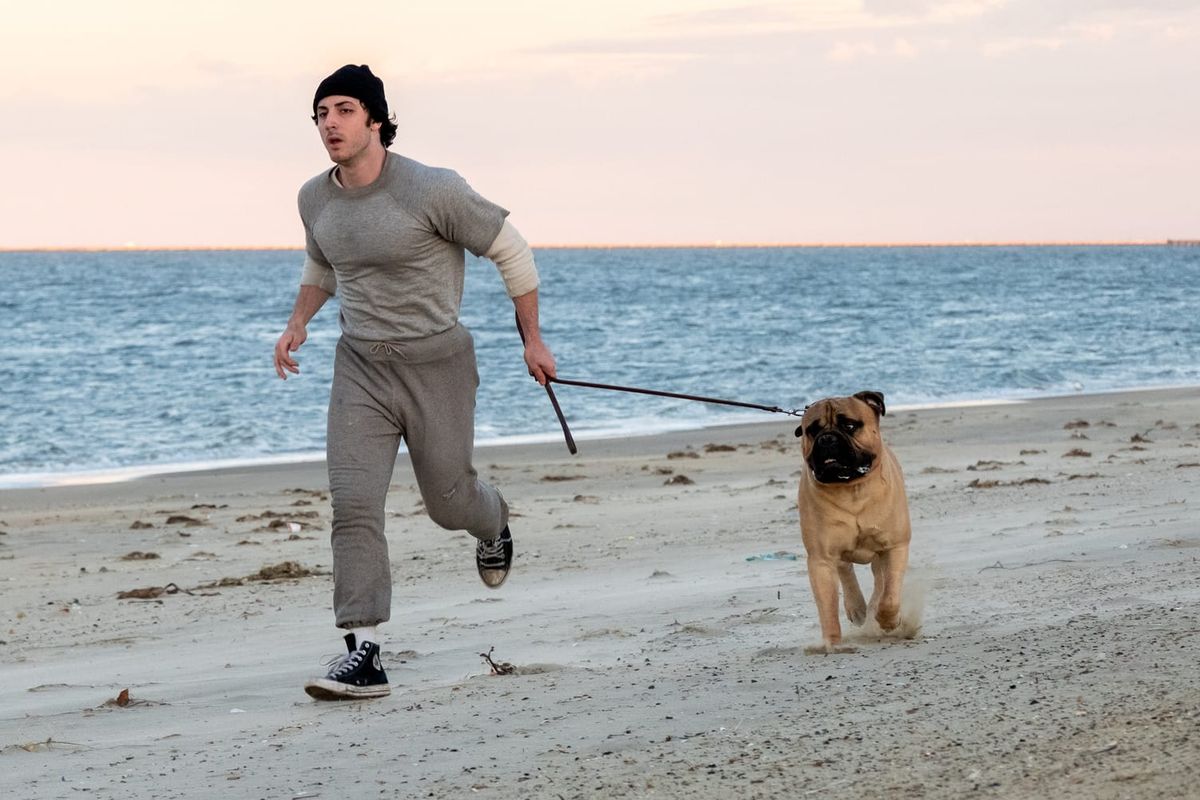 TIFF Report II: "I Play Rocky,""Ink,” "Up Against It," "The Long Winter"