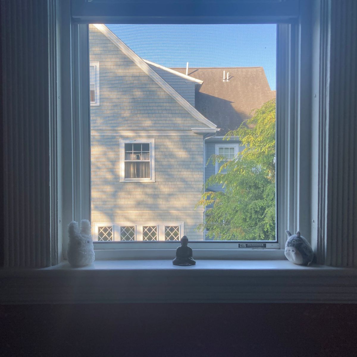 Zen Diary: A Bird List Grows in Brooklyn