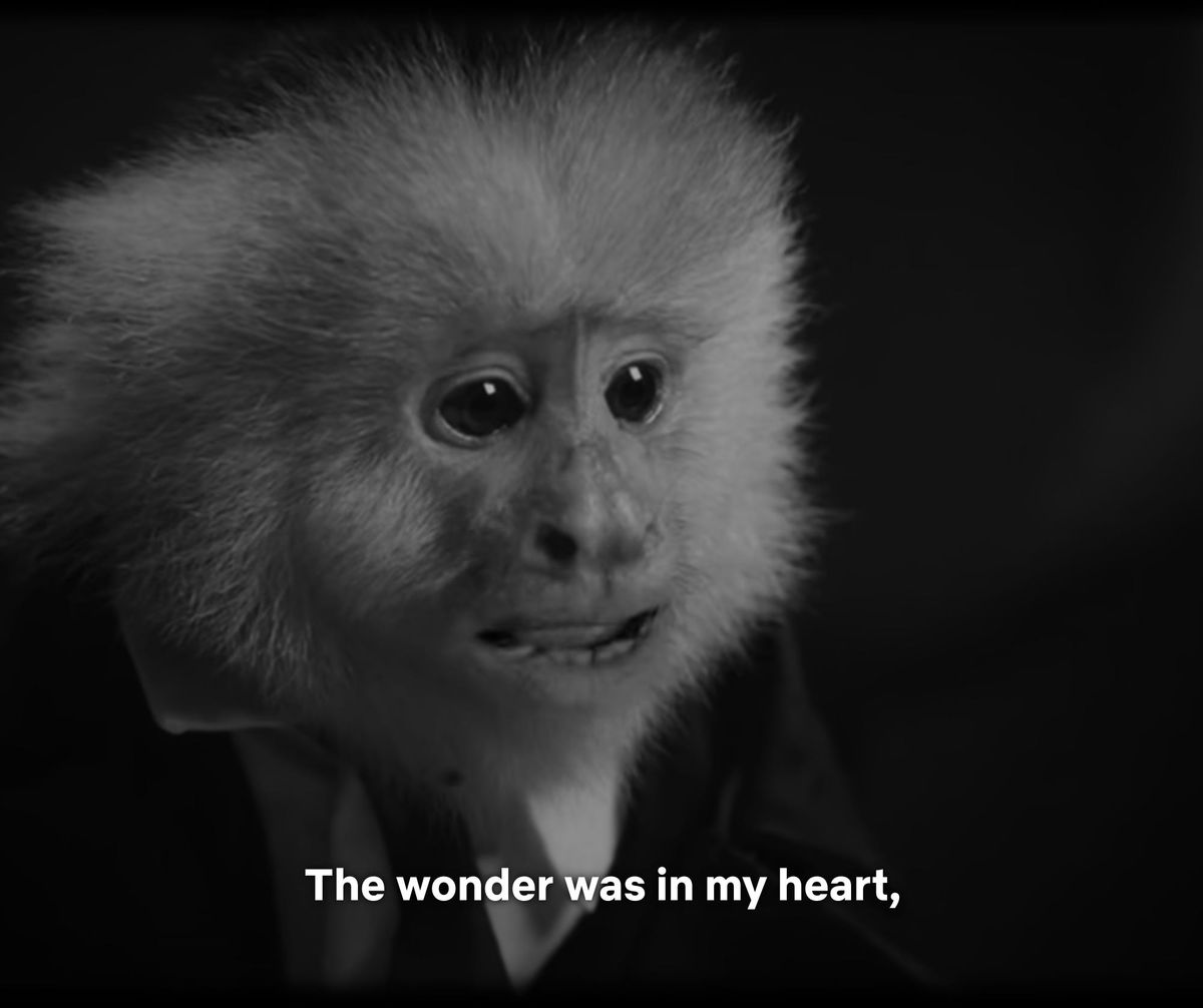 Five Weird (But Good) Things to Watch on Netflix