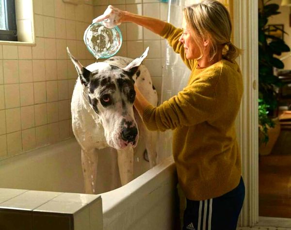 New Reviews: "The Friend," "Freaky Tales," "The Ballad of Wallis Island" 🔒