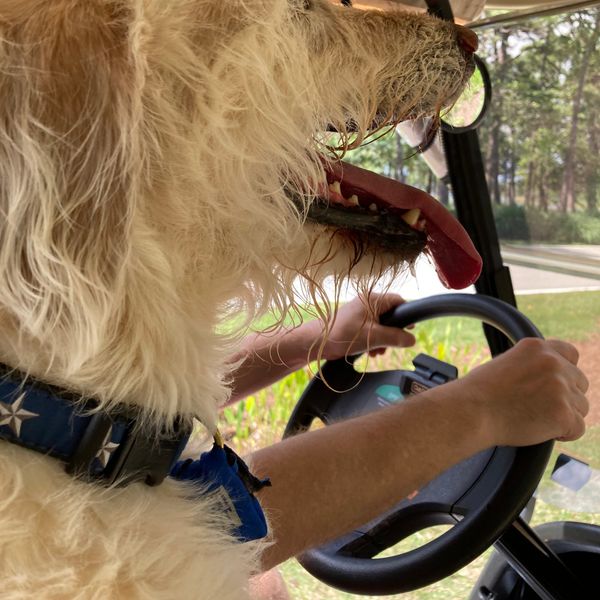 What To Watch (Not) 9/16/22