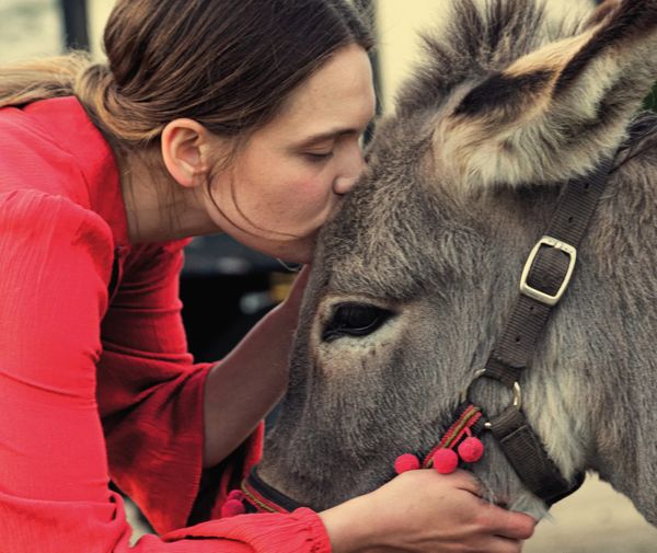 The 20 Best Movies of 2022