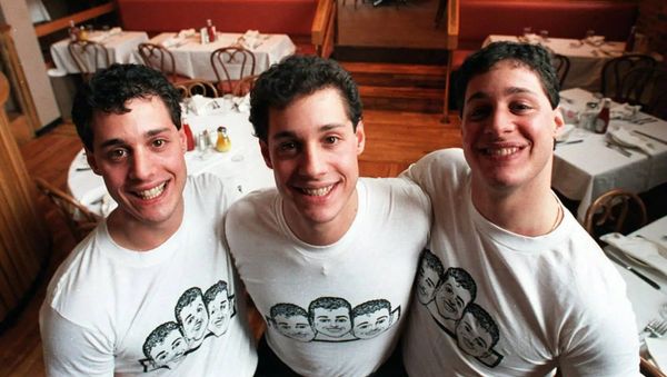One Good Movie: "Three Identical Strangers"