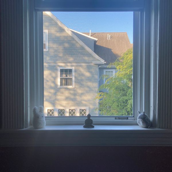 Zen Diary: A Bird List Grows in Brooklyn