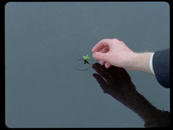 Watch List Weekly Recap 6/1/23