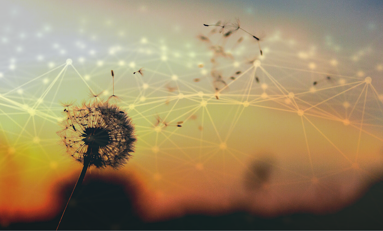 Concours fonds amorçage seed québec