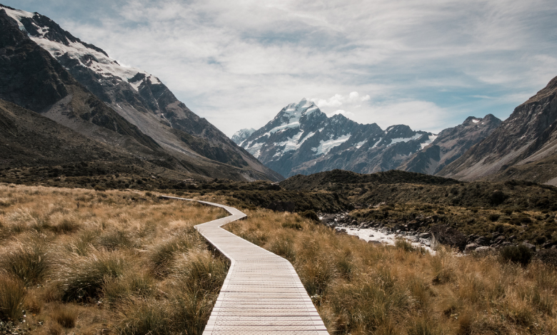 INYULFACE Durabilité, santé, accessibilité