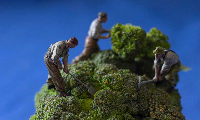 INYULFACE blockchain pelle pioche