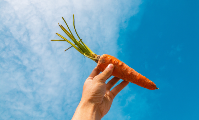 INYULFACE commercial innovation créativité