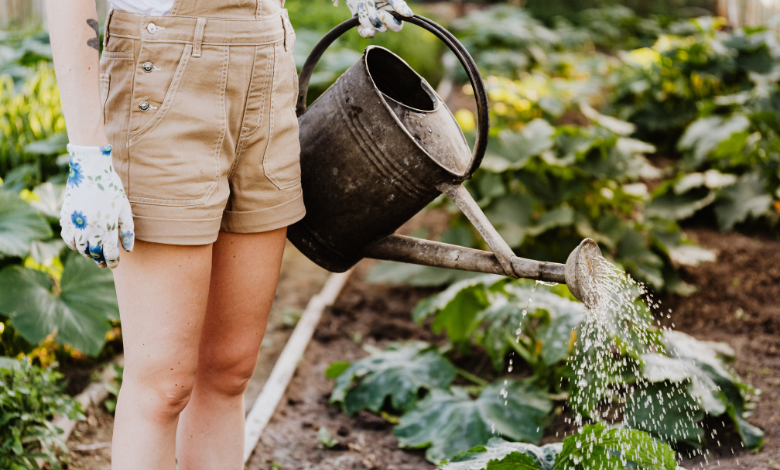 INYULFACE cultiver notre jardin Candide Voltaire