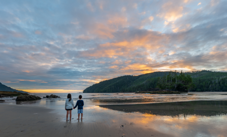 INYULFACE ecologie technologie canada