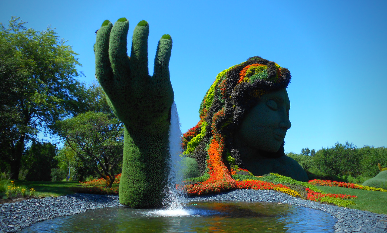 INYULFACE fondamentaux locaux et globaux