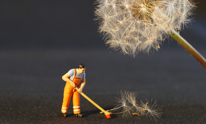 INYULFACE infiniment petit infiniment grand