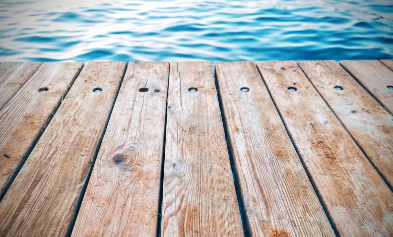 milieux documentaires océan de données