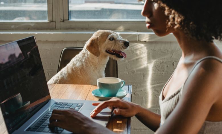 INYULFACE surcharge d'informations