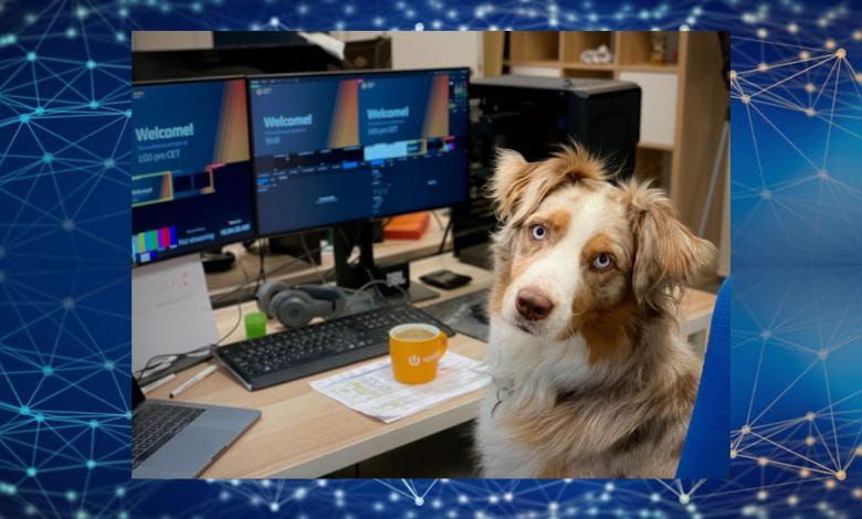 Le Canada, champion du monde du télétravail (1,7 jour par semaine)