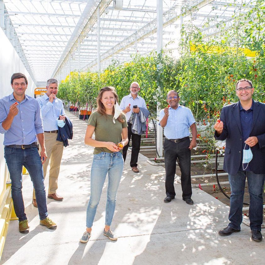 Veille Inyulface #4 : réinventer, interopérer et décomplexifier