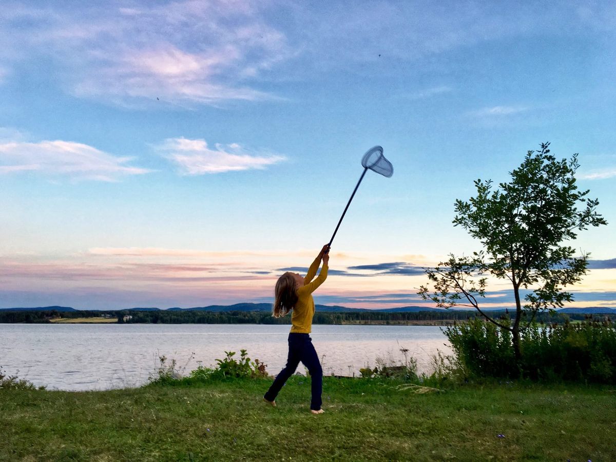 Parce que la créativité est une bestiole difficile à attraper