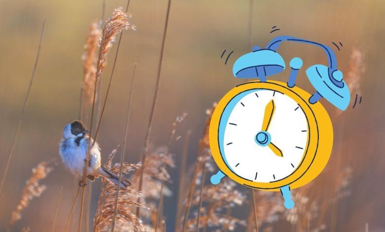 La veille innovation Inyulface reprend du service pour la rentrée