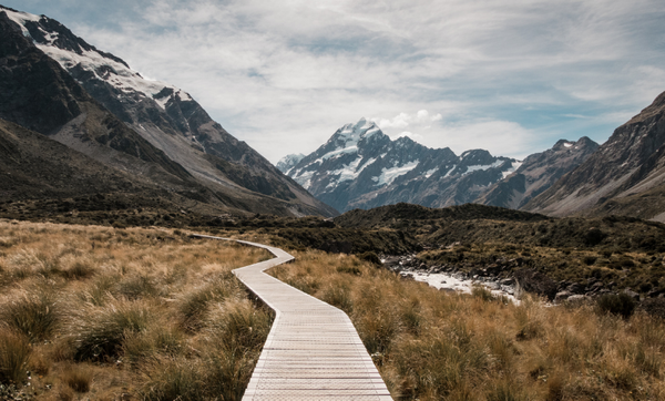 INYULFACE Durabilité, santé, accessibilité